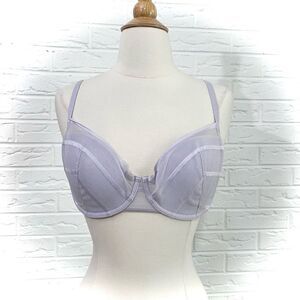 Soma Periwinkle Mesh Bra Size 34DD